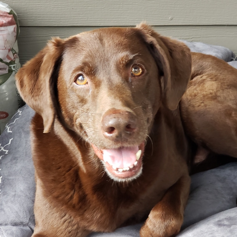 Meet your Posher, Janette